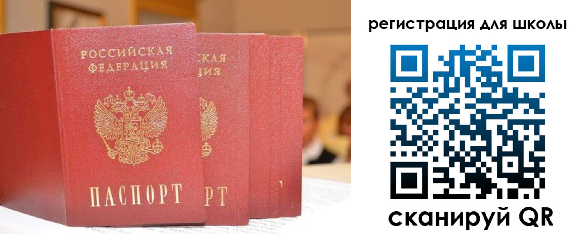 временная регистрация недорого в Светлогорске