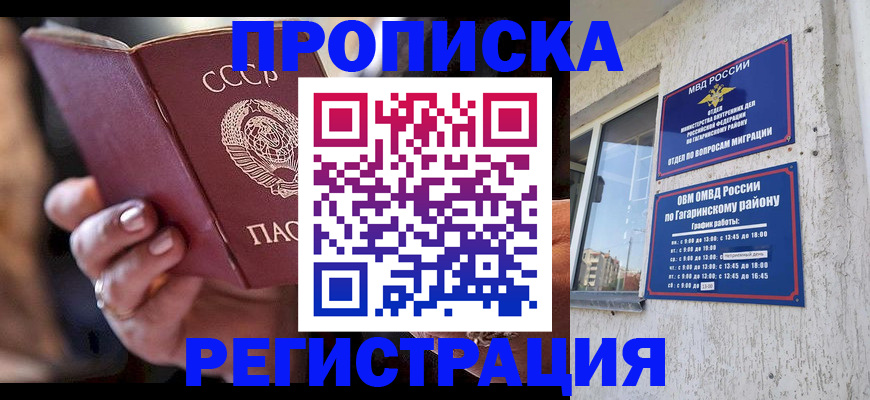 прописка гарантия в Светлогорске